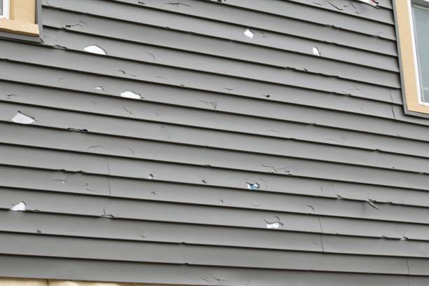 Best Siding Removal and Disposal  in Lookout Mountain, GA