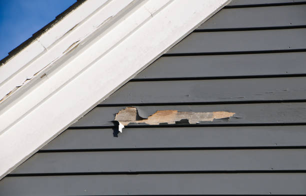 Best Weatherproofing and Sealing  in Lookout Mountain, GA